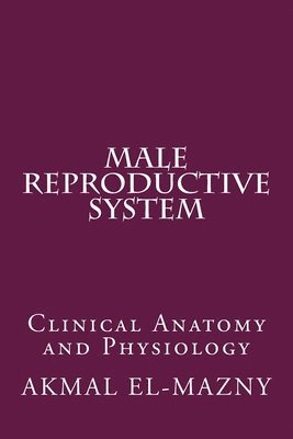 bokomslag Male Reproductive System