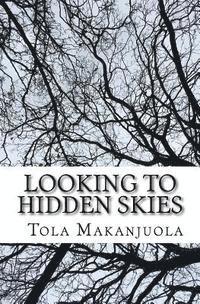 bokomslag Looking to Hidden Skies