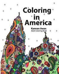 bokomslag Coloring In America: Adult Coloring Book