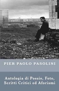bokomslag Pier Paolo Pasolini