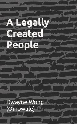 bokomslag Legally Created People
