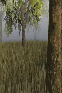 The Nature Diary