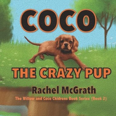 bokomslag Coco the Crazy Pup