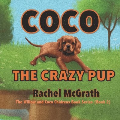 Coco the Crazy Pup 1