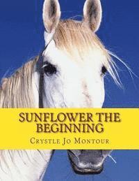 bokomslag Sunflower the Beginning