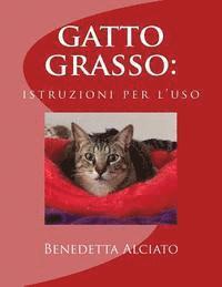 bokomslag gatto grasso: istruzioni per l'uso