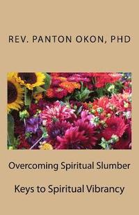 bokomslag Overcoming Spiritual Slumber: Keys to Spiritual Vibrancy