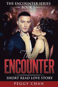 bokomslag The Encounter Book 1: Short Read Love Story
