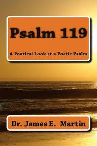 bokomslag Psalm 119: A Poetical Look at a Poetic Psalm