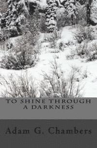bokomslag To Shine Through A Darkness