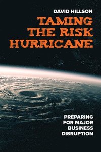 bokomslag Taming the Risk Hurricane
