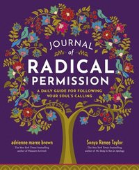 bokomslag Journal of Radical Permission