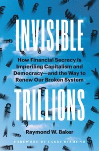 bokomslag Invisible Trillions