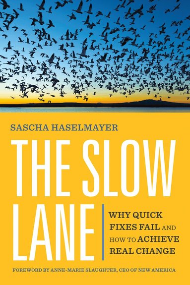 Sascha Haselmayer, Anne-Marie Slaughter - Slow Lane, Häftad