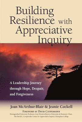 bokomslag Building Resilience with Appreciative Inquiry