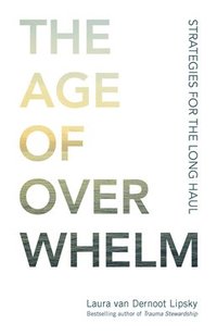 bokomslag The Age of Overwhelm