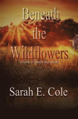 Beneath the Wildflowers: a book of shorts and poems