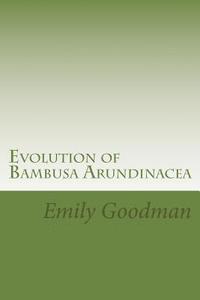 bokomslag Evolution of Bambusa Arundinacea: Includes Cases and Practical Understanding
