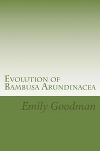 bokomslag Evolution of Bambusa Arundinacea: Includes Cases and Practical Understanding