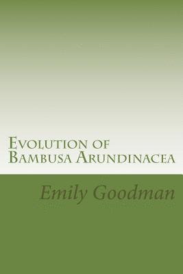 bokomslag Evolution of Bambusa Arundinacea: Includes Cases and Practical Understanding
