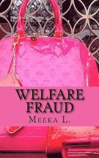 bokomslag Welfare Fraud