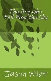 The Boy Who Fell From the Sky 1