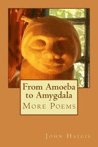 From Amoeba to Amygdala 1