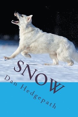 bokomslag Snow: A Sean Tzu Mystery Thriller