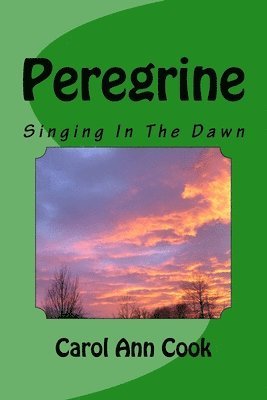 Carol Ann Cook - Peregrine: Singing In The Dawn, Häftad