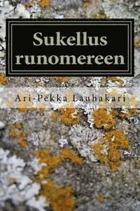 bokomslag Sukellus runomereen: 7 ensimmäistä askelta 2013 -2014