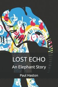 bokomslag Lost Echo