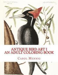 bokomslag Antique Bird Art I: An Adult Coloring Book