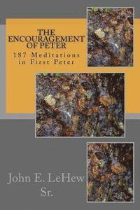bokomslag The Encouragement of Peter: 187 Meditations in First Peter