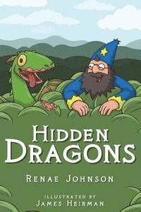 bokomslag Hidden Dragons