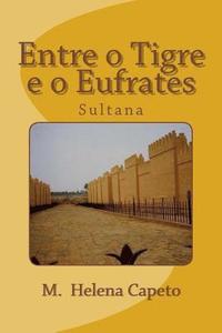 bokomslag Entre o Tigre e o Eufrates: Sultana