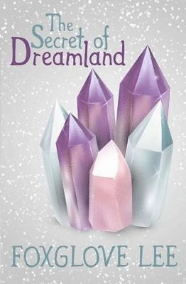 bokomslag Secret of Dreamland