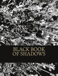 bokomslag Black Book of Shadows