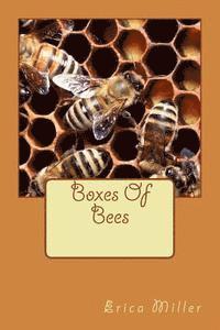 bokomslag Boxes Of Bees: And How I Came to Manage Them