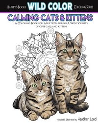 bokomslag Calming Cats & Kittens: Adult Coloring Book