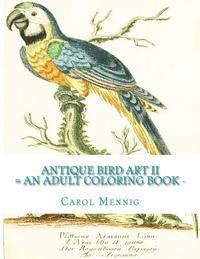 bokomslag Antique Bird Art II: An Adult Coloring Book