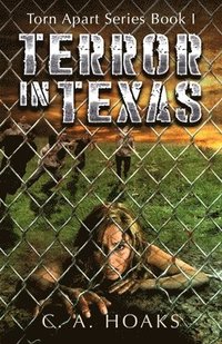 bokomslag Terror In Texas
