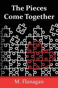 bokomslag Pieces Come Together