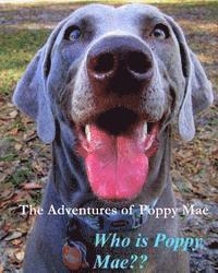 bokomslag The Adventures of Poppy Mae: Who Is Poppy Mae?