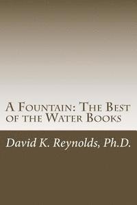 bokomslag A Fountain: The Best of the Water Books