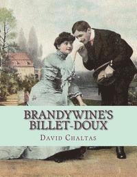 bokomslag Brandywine's Billet-doux: (Postcards from Brandywine)