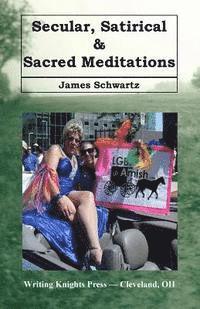 bokomslag Secular, Satirical & Sacred Meditations