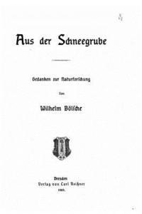 Wilhelm Bolsche - Aus der Schneegrube, Häftad
