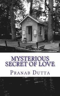 bokomslag Mysterious Secret of Love