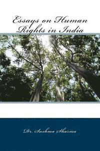 bokomslag Essays on Human Rights in India
