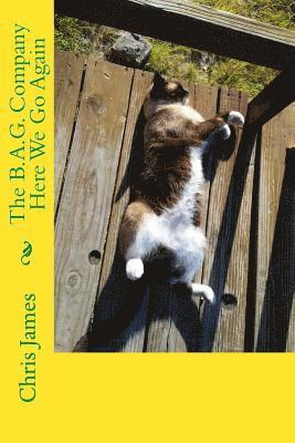 Chris James - The B.A.G. Company Here We Go Again, Häftad